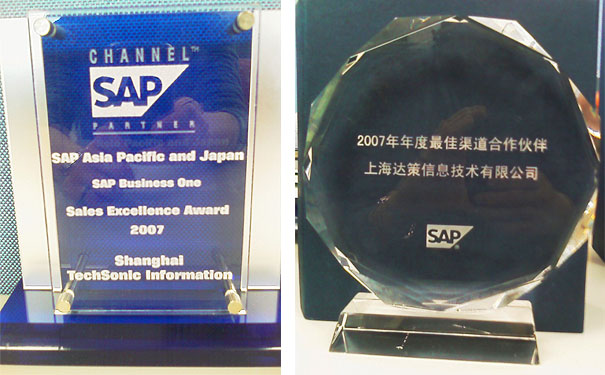 SAP金牌代理商上海达策获奖证书