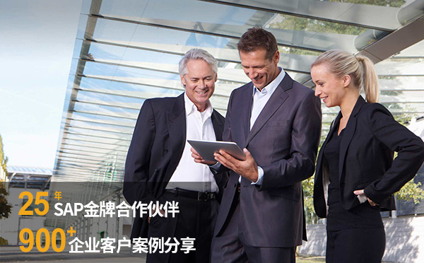 受欢迎的ERP系统,SAP,SAP ERP系统