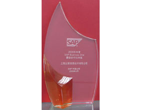 got the SAP Business One Best Performance Contribution Award奖