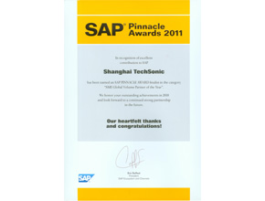 activity in the SAP Business One Top Revenue Award 