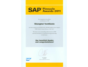 activity in the SAP Business One Top Revenue Award 