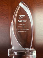 SAP Business One 最佳业绩贡献奖