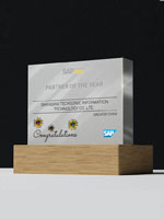 SAP Business One 最佳业绩贡献奖