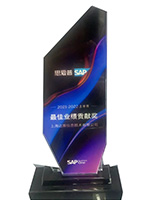 SAP Business One 最佳业绩贡献奖