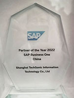 SAP Business One 最佳业绩贡献奖