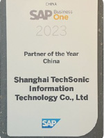 SAP Business One 最佳业绩贡献奖